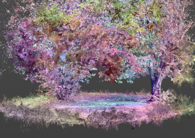 Le Jardin